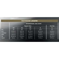 Бодістокінг у велику сітку Penthouse - Body Search White XL
