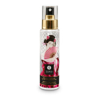 Shunga Shunga Gentle Cleaner