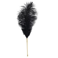 Тіклер LOCKINK SEVANDA Natural Peacock Flirting Feather Tickler, перо павича