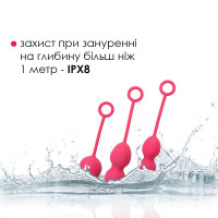 Набір вагінальних кульок Svakom Nova Plum Red зі зміщеним центром ваги