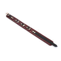 Нашийник з повідцем Liebe Seele Wine Red Collar and Leash