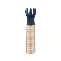 Pillow Talk Secrets Desires 6-Piece Mini Massager Set - Navy