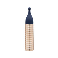 Pillow Talk Secrets Desires 6-Piece Mini Massager Set - Navy