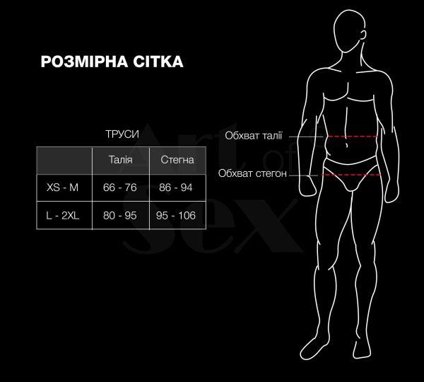 Чоловічі труси з сітки Art of Sex — Demir, колір розмір XS