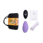 Вибратор в трусики FeelzToys Panty Vibrator с пультом ДУ, 6 режимов работы, сумочка-чехол