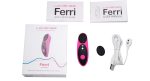 Смарт-вібратор в трусики Lovense Ferri