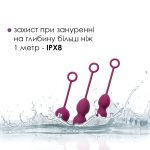 Набор вагинальных шариков со смещенным центром тяжести Svakom Nova