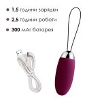 Виброяйцо с пультом управления Svakom Elva
