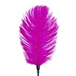 Щекоталка со страусиным пером Art of Sex – Feather Tickler