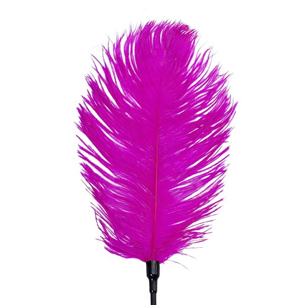 Щекоталка со страусиным пером Art of Sex – Feather Tickler