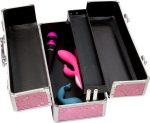 Большой кейс для хранения секс-игрушек BMS Factory Large Lokable Vibrator Case кодовый замок