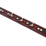 Шкіряний нашийник з повідцем Liebe Seele Wine Collar and Leash, 3 кільця для кріплення