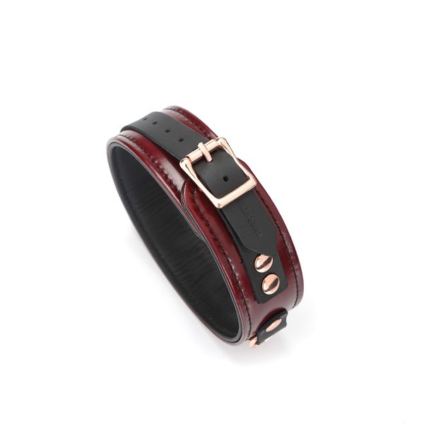 Шкіряний нашийник з повідцем Liebe Seele Wine Collar and Leash, 3 кільця для кріплення