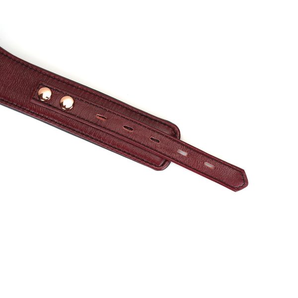 Шкіряний нашийник з повідцем Liebe Seele Wine Curved Collar, замок-сердечко