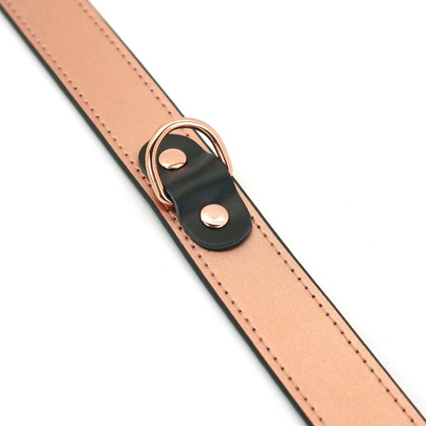 Нашийник із затискачами для сосків Liebe Seele Memory Collar with Nipple Clamps, шкіра
