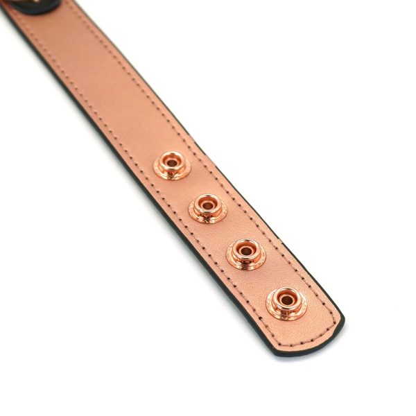 Нашийник із затискачами для сосків Liebe Seele Memory Collar with Nipple Clamps, шкіра