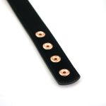 Нашийник із затискачами для сосків Liebe Seele Memory Collar with Nipple Clamps, шкіра