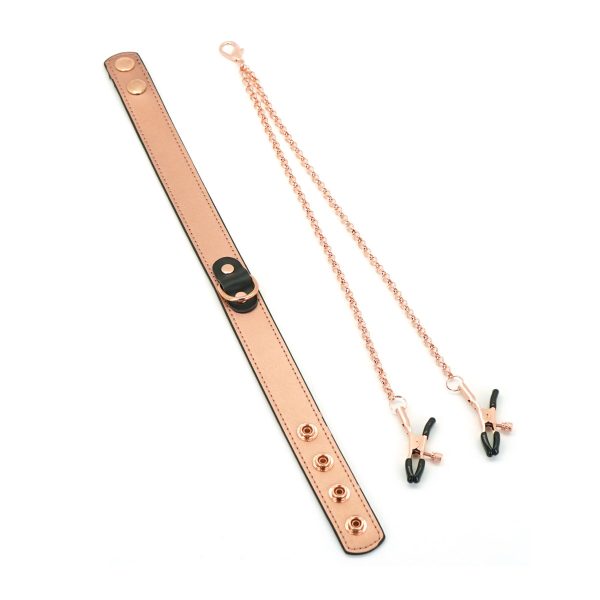 Нашийник із затискачами для сосків Liebe Seele Memory Collar with Nipple Clamps, шкіра