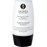 Подарочный набор Shunga Naughtier Kit, 5 продуктов для интимной стимуляции