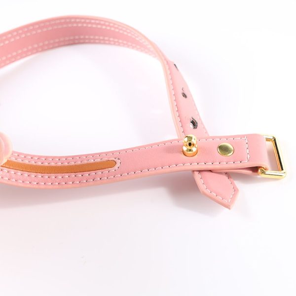 Нашийник з повідцем LOCKINK SEVANDA Love Heart Butterfly Leather Collar Set, з бантом