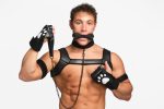Набор BDSM щенка Master Series Luxury Pup Arsenal Set
