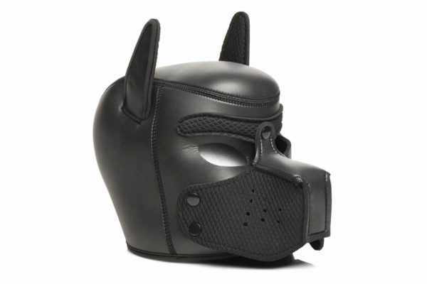 Набор BDSM щенка Master Series Luxury Pup Arsenal Set