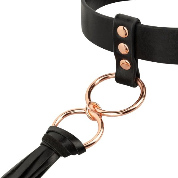 Нашийник с флогером Rosy - Collar with Flogger
