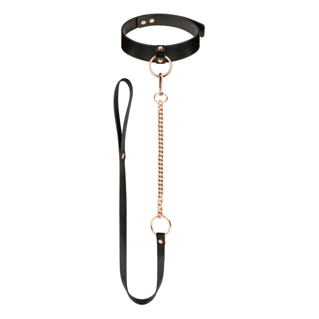 Нашийник з повідцем Rosy - Collar with Leash