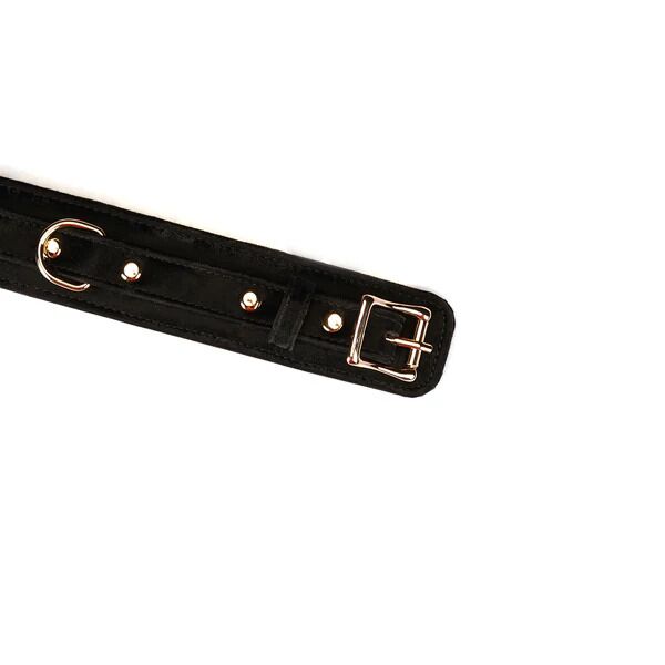Нашийник з повідцем Liebe Seele Boudoir Amor Collar with Leash три кільця