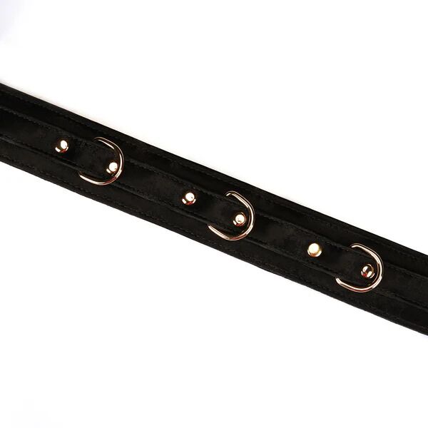 Нашийник з повідцем Liebe Seele Boudoir Amor Collar with Leash три кільця