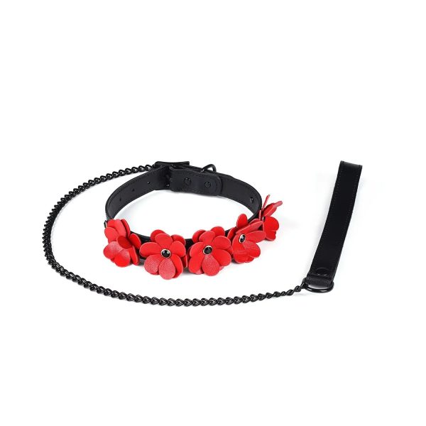 Нашийник з повідцем Liebe Seele Flower Rhythm - and Leather Flowers collar with Leash