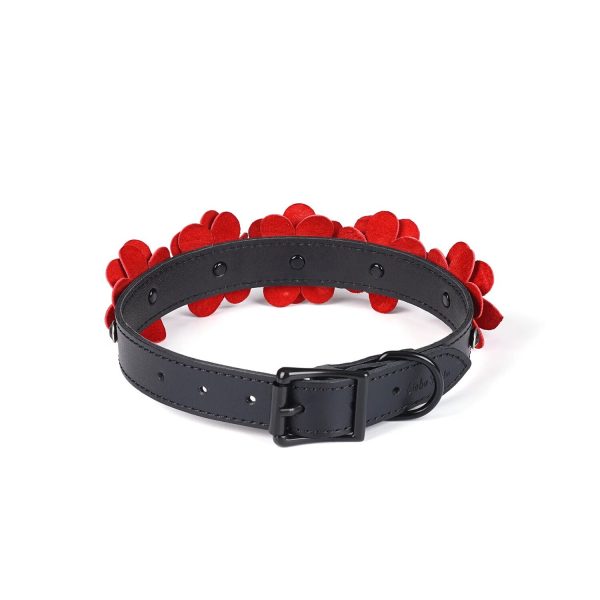 Нашийник з повідцем Liebe Seele Flower Rhythm - and Leather Flowers collar with Leash