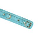Нашийник з повідцем Liebe Seele Lamb Leather Collar with Velvet Lining