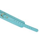 Нашийник з повідцем Liebe Seele Lamb Leather Collar with Velvet Lining