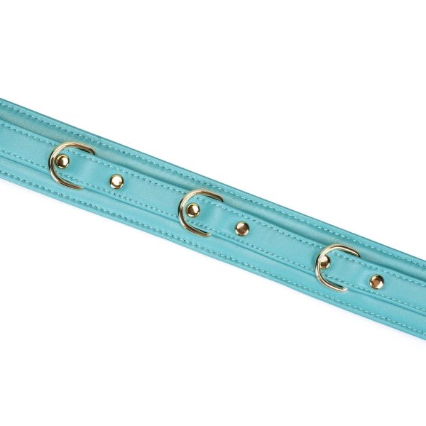 Нашийник з повідцем Liebe Seele Lamb Leather Collar with Velvet Lining
